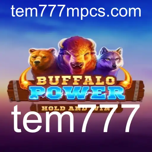 tem777 Videogames