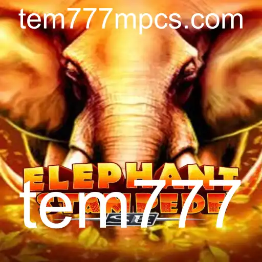 tem777 Jogos de sabong